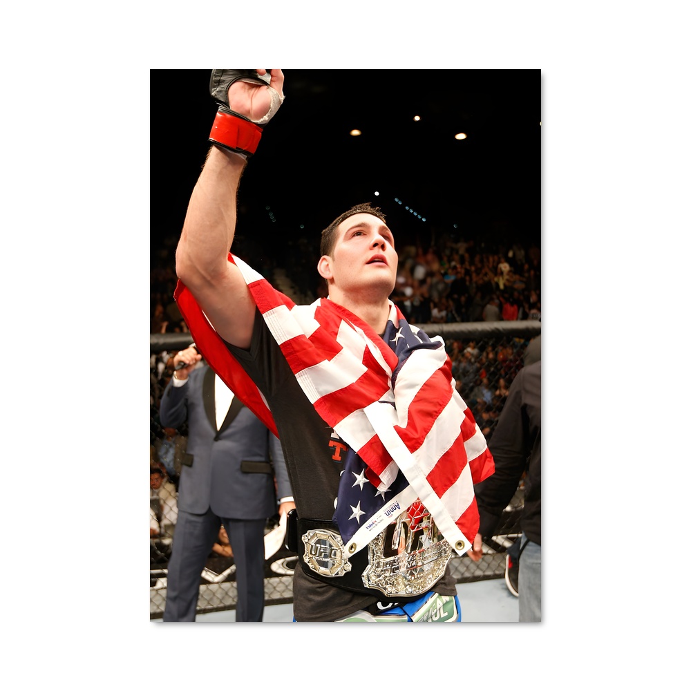 Poster L'Honneur du Combattant – affiche MMA
